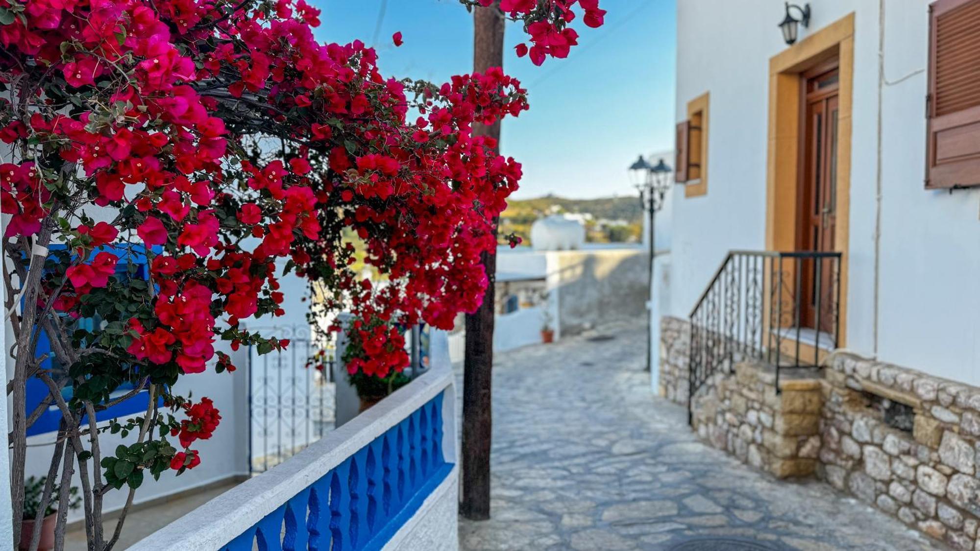 Lipsi Blue Hotel المظهر الخارجي الصورة